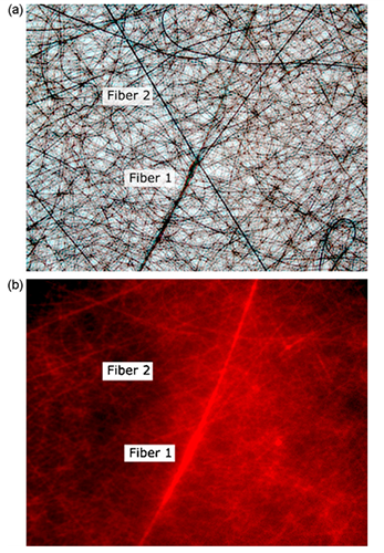 Electrospun nanofibrous polymeric scaffold with targeted drug release profiles for potential application as wound dressing
