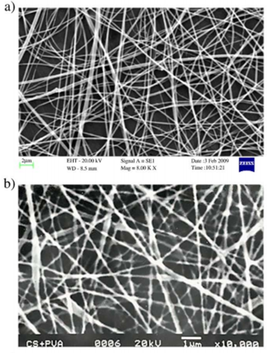 Electrospinning: A fascinating fiber fabrication technique