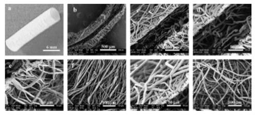Design of scaffolds for blood vessel tissue engineering using a multi-layering electrospinning technique