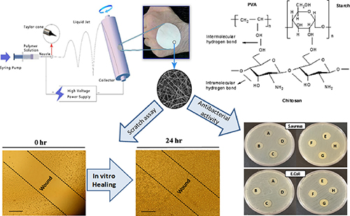 Wound dressing based on electrospun PVA/chitosan/starch nanofibrous mats: Fabrication, antibacterial and cytocompatibility evaluation and in vitro healing assay