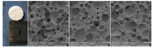 Effect of apatite formation of biphasic calcium phosphate ceramic (BCP) on osteoblastogenesis using simulated body fluid (SBF) with or without bovine serum albumin (BSA)