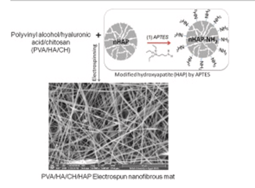 Influence of chitosan and hydroxyapatite incorporation on properties of electrospun PVA/HA nanofibrous mats for bone tissue regeneration: Nanofibers optimization and in-vitro assessment