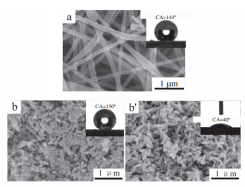 Superhydrophobic polyaniline/polystyrene micro/nanostructures as anticorrosion coatings