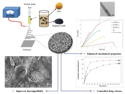 Electrospun zein/graphene oxide nanosheet composite nanofibers with controlled drug release as antibacterial wound dressing