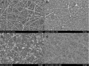 Microscopic image of collagen nanofibers.jpg