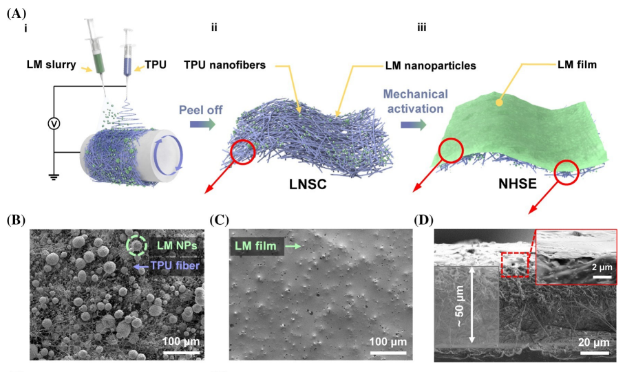 Electrospun composite nanomembranes of LM nanoparticles and TPU nanoscaffolds
