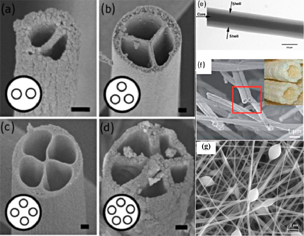 Common Nanofiber Microstructures