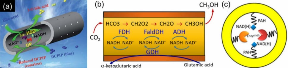 含有酶的中空纳米纤维的示意图：（a）用于胆汁酸测定的涉及3a-HSD，DP和NAD（H）的多酶人工细胞。（b）用于CO合成甲醇的中空纳米纤维多酶体系2与NADH的原位再生;（c）纳米结构酶-辅因子酶催化剂的纤维构型.jpg