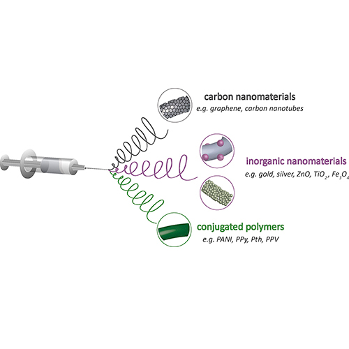 Electrospinning-based (bio)sensors for food and agricultural applications: A review