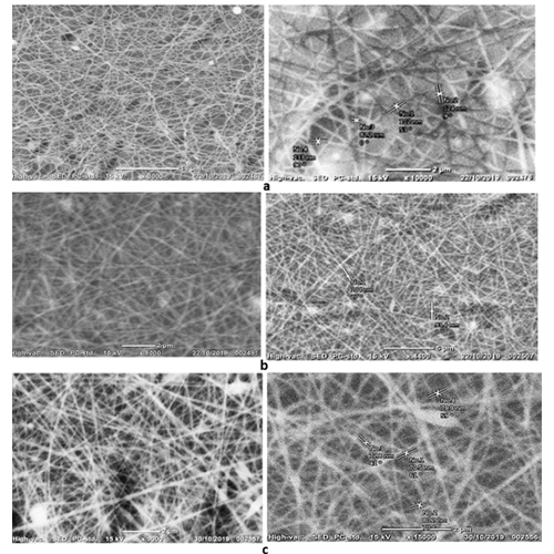 Coaxial electrospinning of PVA/Nigella seed oil nanofibers: Processing and morphological characterization