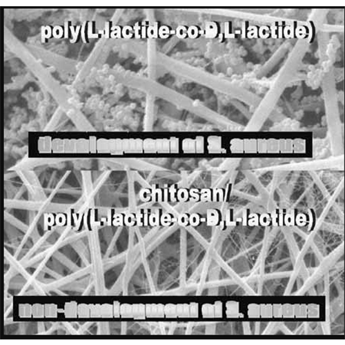 Electrospun Non‐Woven Nanofibrous Hybrid Mats Based on Chitosan and PLA for Wound‐Dressing Applications