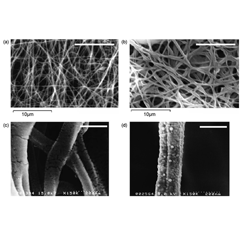 Electrospun collagen/chitosan nanofibrous membrane as wound dressing