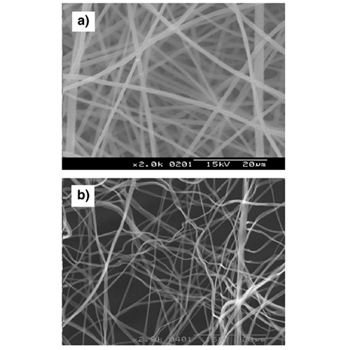 Electrospinning of gelatin and gelatin/poly(l-lactide) blend and its characteristics for wound dressing