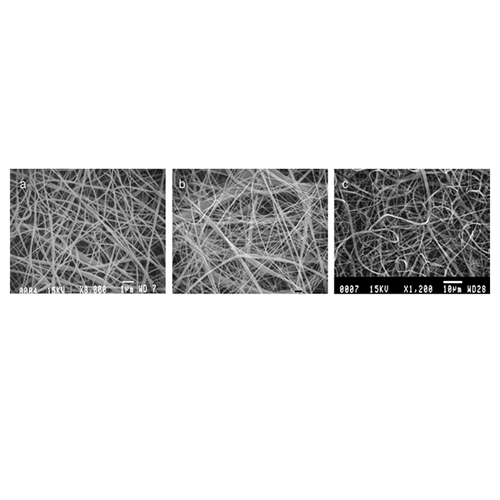 Electrospinning of collagen/biopolymers for regenerative medicine and cardiovascular tissue engineering