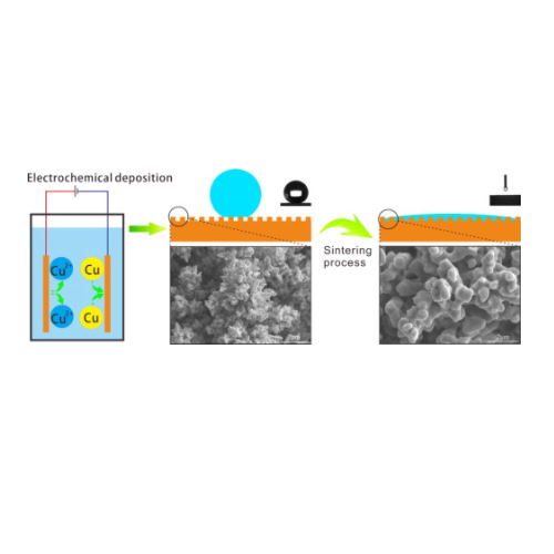 Electrospinning of polymer nanofibers for tissue regeneration