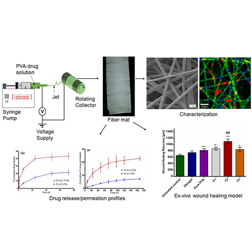 Electrospun Bioactive Wound Dressing Containing Colloidal Dispersions of Birch Bark Dry Extract