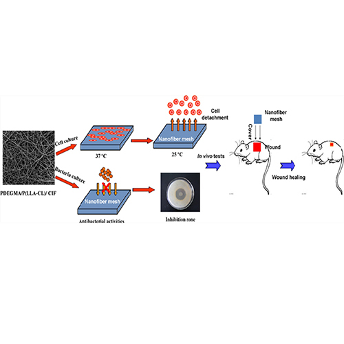 Thermosensitive nanofibers loaded with ciprofloxacin as antibacterial wound dressing materials
