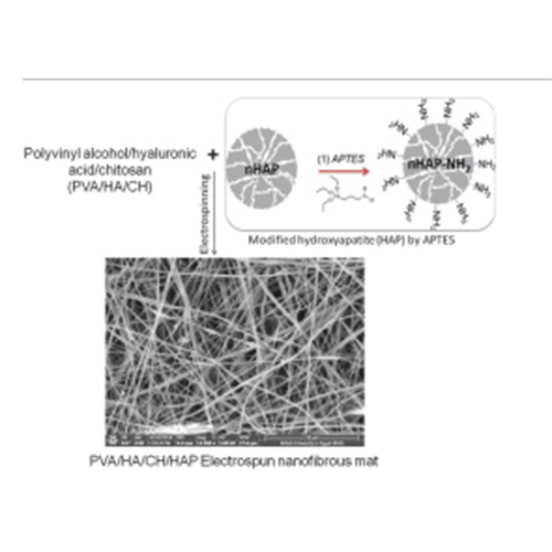 Influence of chitosan and hydroxyapatite incorporation on properties of electrospun PVA/HA nanofibrous mats for bone tissue regeneration: Nanofibers optimization and in-vitro assessment