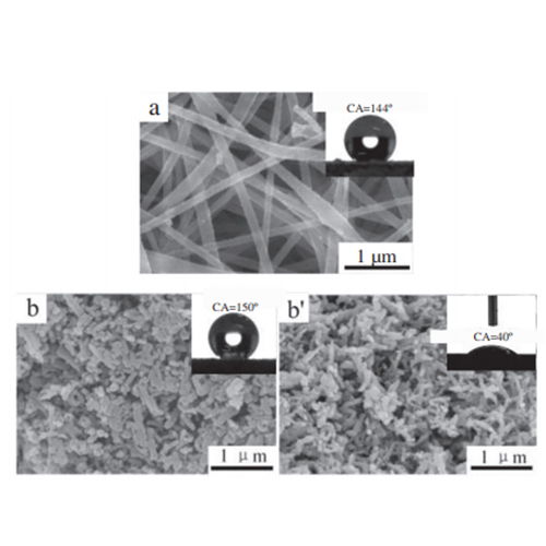 Superhydrophobic polyaniline/polystyrene micro/nanostructures as anticorrosion coatings