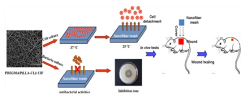 Thermosensitive nanofibers loaded with ciprofloxacin as antibacterial wound dressing materials