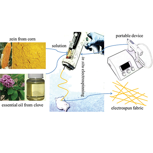 In Situ Electrospinning Wound Healing Films Composed of Zein and Clove Essential Oil