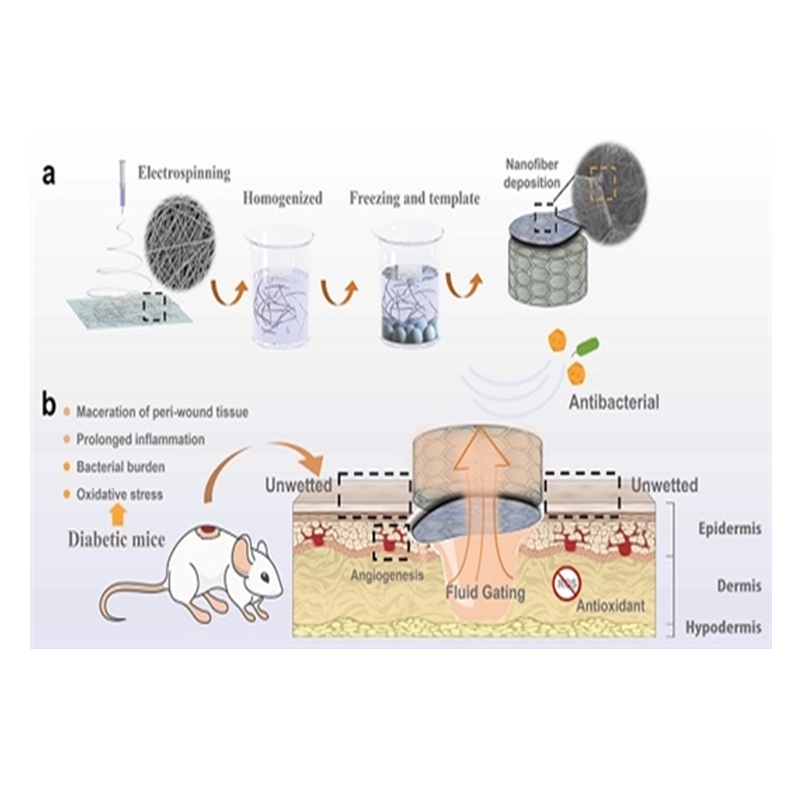 Nanofiber composite aerogel promotes diabetic wound healing
