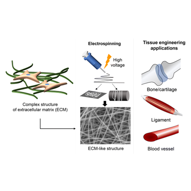 The role of electrospinning collagen in tissue repair