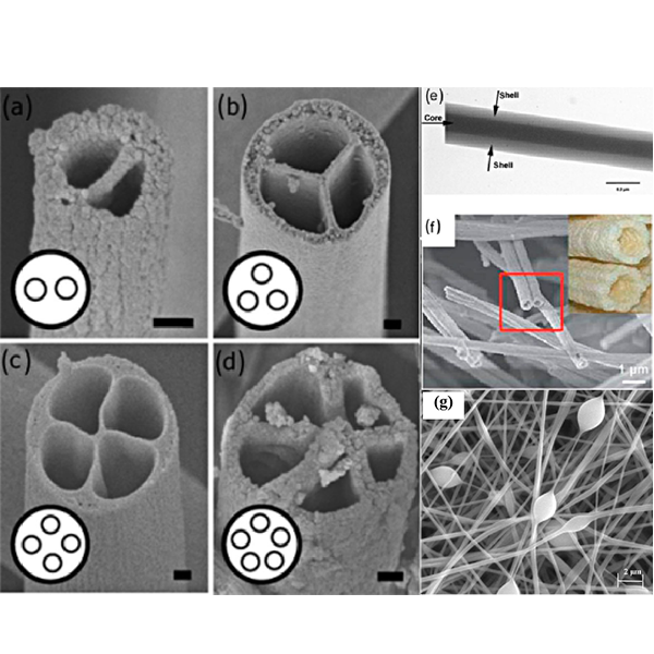 Electrospinning of Nanofibers and Nanofiber Morphology